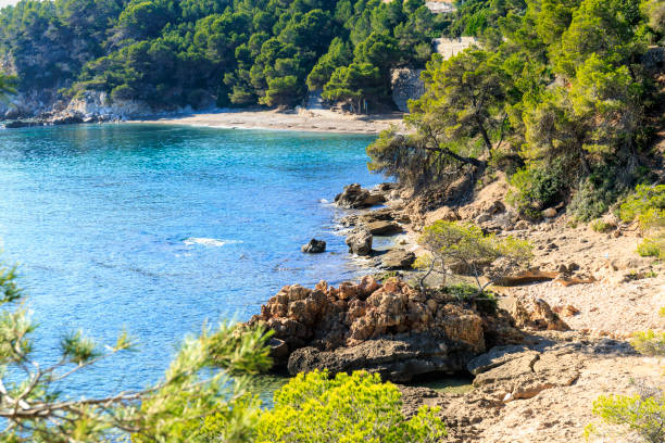 istock A rocky cove surrounded by dense pine trees 2204941968