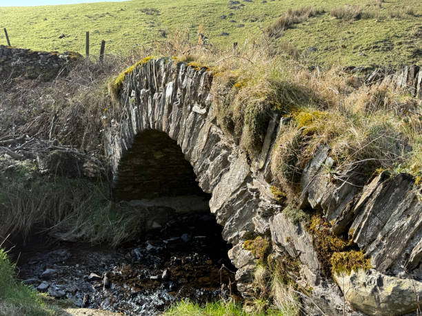istock An ancient stone bridge covered in moss and grass, arching over a small stream in the countryside. 2204942751
