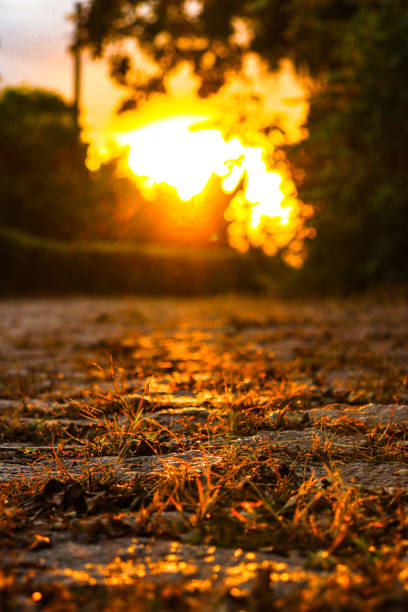 Landscape of a sunset seen from below on a stone road