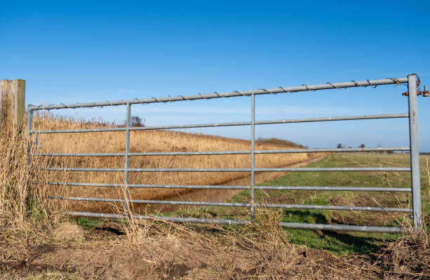istock metal gate in the countryside 2204955829