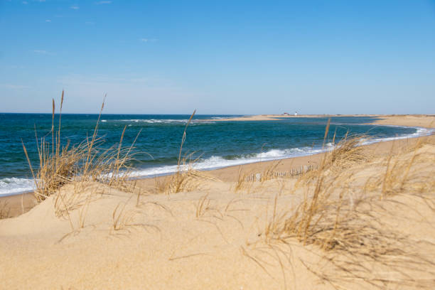 istock View of Herring Cove Beach Looking Towards Race Point 2204958344