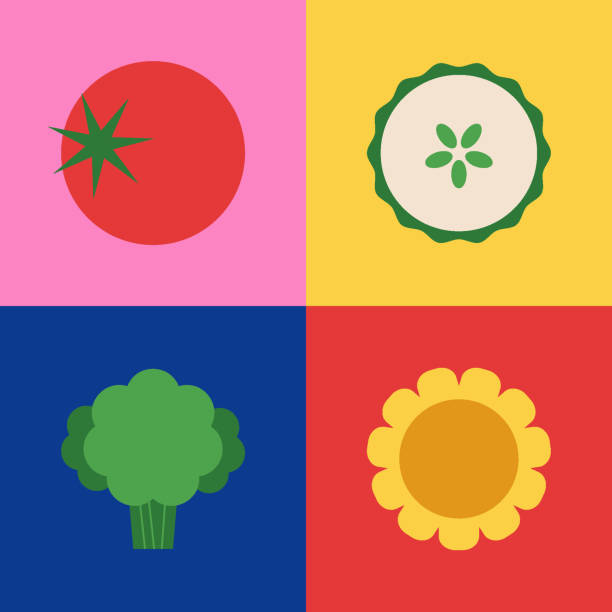 Vegetables icon set. Flat set of fresh tomato, broccoli, corn, cucumber vector icons for emblem, logo, sign, badge, web and print design. Simple, geometric, modern style