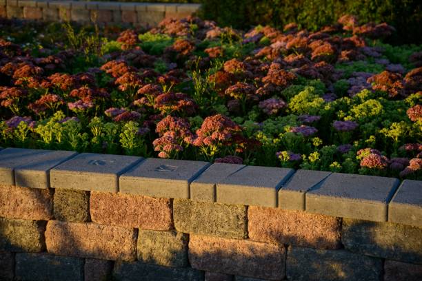 istock a local park flowerbed under the sunset. 2204960737