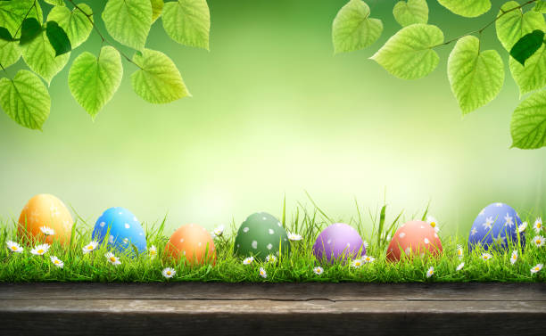 istock Seven painted easter eggs celebrating a Happy Easter on a spring day with a green grass meadow. 2204962289