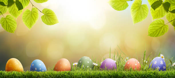 istock Seven painted easter eggs celebrating a Happy Easter on a spring day with a green grass meadow. 2204962323