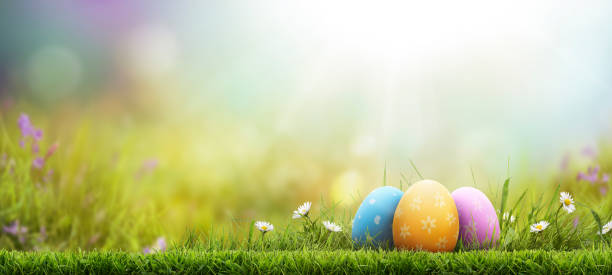 istock Three painted easter eggs celebrating a Happy Easter on a spring day with a green grass meadow. 2204962329