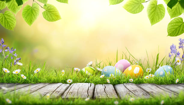 istock Five painted easter eggs celebrating a Happy Easter on a spring day with a green grass meadow 2204962341