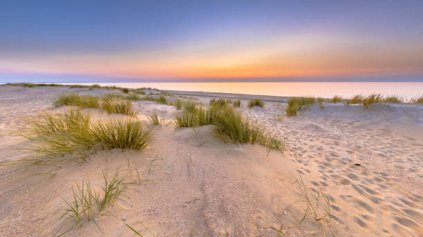 istock Sunset View over ocean from dune in Zeeland 2204968102