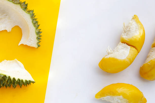 Ripe durian fruit, Thai tropical fruit