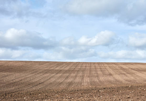 A freshly plowed agricultural field stretching to the horizon under a cloudy sky in Denmark. Perfect for agricultural, environmental, and rural landscape themes.