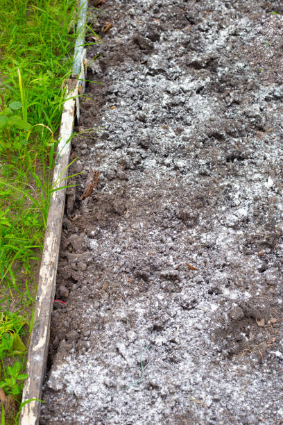 istock Raised garden bed with lime applied to the soil for pH adjustment 2204978610