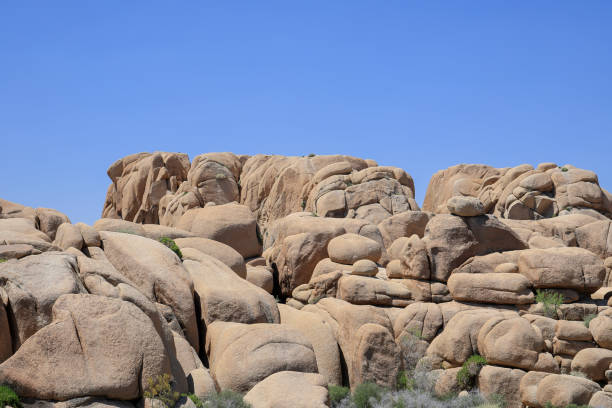 Sunny afternoon at Joshua tree national park