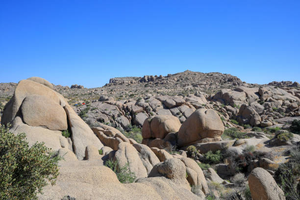 istock Joshua tree national park, California 2204982997