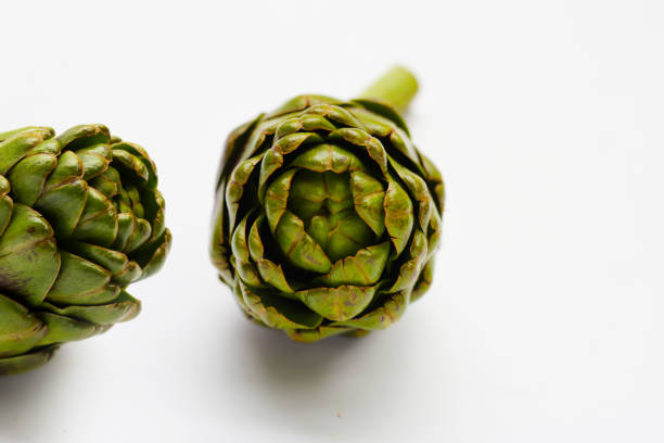 Purple artichoke on white background.