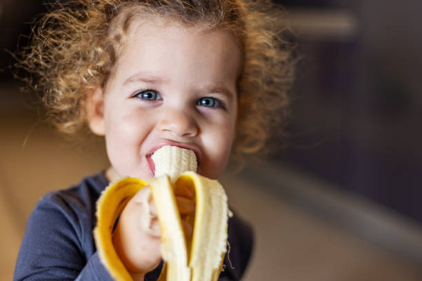 Cute little girl with curly hair, eating a ripe banana as a healthy snack.