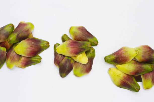 Fresh green purple artichoke petals