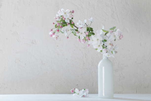 spring flowers in vase on white background