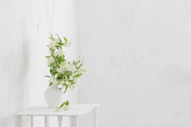 istock jasmineflowers in vase on background old wall 2204992237