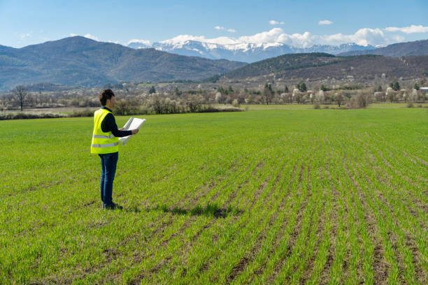 istock A surveyor standing in a field looking at plans 2204994706