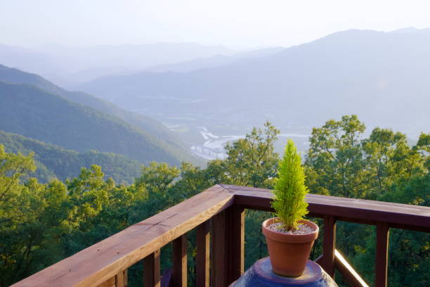 istock Mountain View with Potted Plant 2204999037