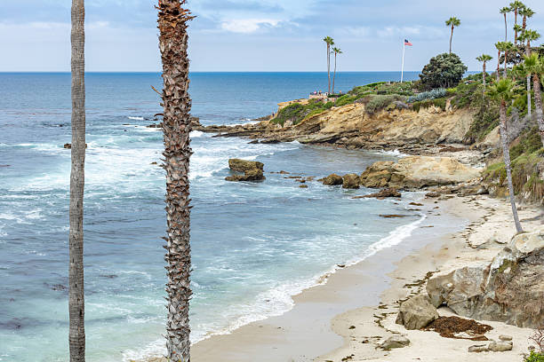 A glider floats above the shoreline in Carlsbad California