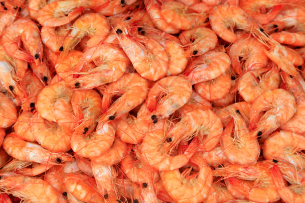 istock mature prawns are in the kitchen 2205002837