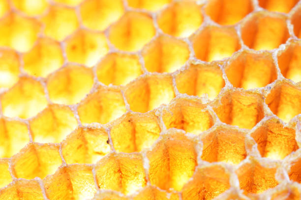 This close-up image captures the intricate honeycomb structure, showcasing the golden hue and unique hexagonal cells formed by bees. Perfect for nature and food-themed projects.