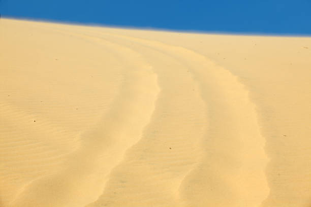 A close-up view of soft sand tracks leading through a serene desert landscape, under a clear blue sky, creating a tranquil and warm atmosphere.