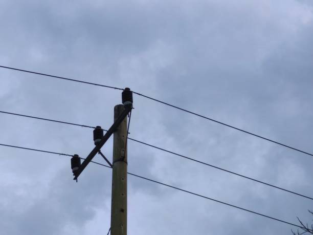 istock electric poles and electric cables, storks and two small birds 2205004244