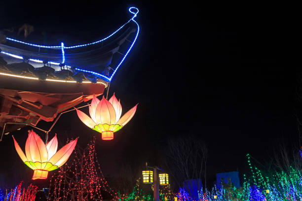 istock lotus lantern in the park, China 2205005734