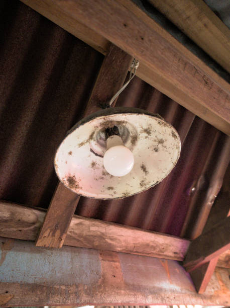 istock an old lamp at village in Lat Krabang 2205010015