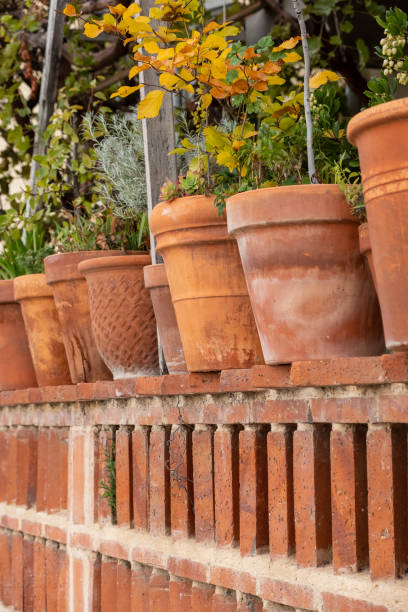 istock pots on a brick fence 2205012524