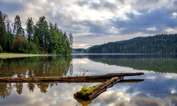 Sasamat Lake Park in Winter Time