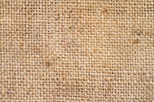 Fragment of the old coarse sackcloth woven from natural unpainted fibers with plain weave, background, texture