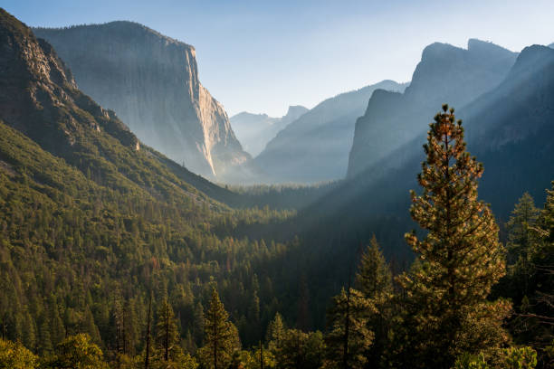 istock Tunnel View at Yosemite National Park 2205016440