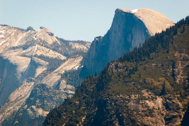 This landscape photograph is of the Half Dome with ponderosa pine trees in Yosemite National Park California on summer day.