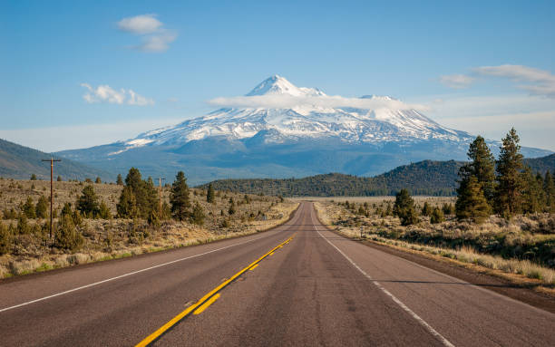 Shasta-Trinity National Forest in California