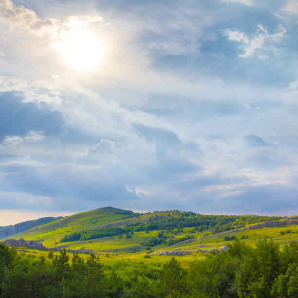 green mountain valley at the summer sunny day