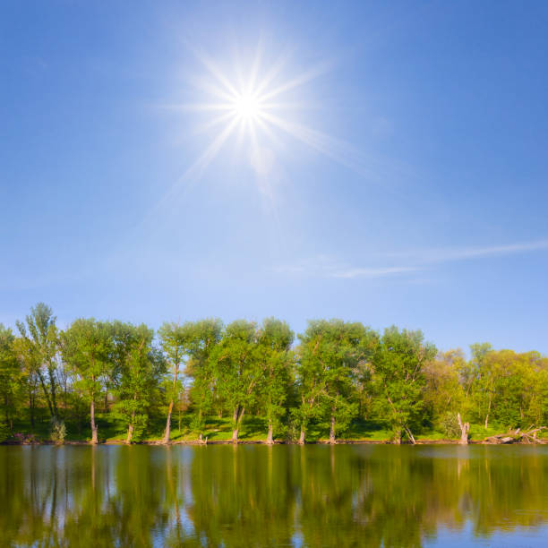 calm lake with forest on coast at the sunny summer day