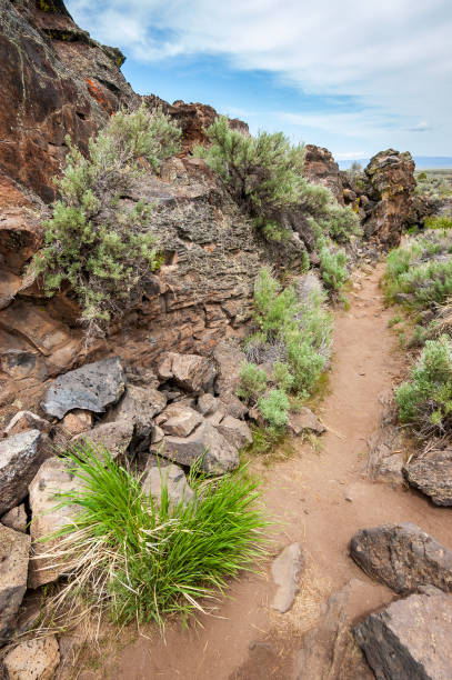istock Rugged Rocky Trail at Lava Beds National Monument 2205019018
