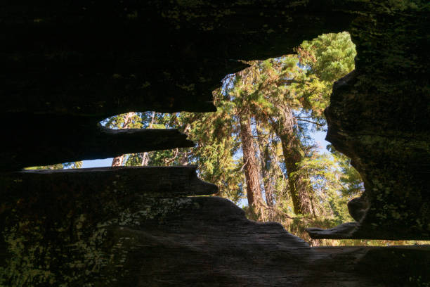 Kings Canyon National Park, California