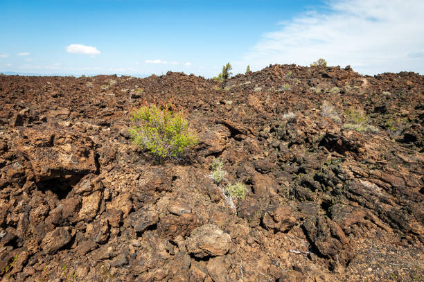 istock Rugged Lava Field at Lava Beds National Monument 2205020638