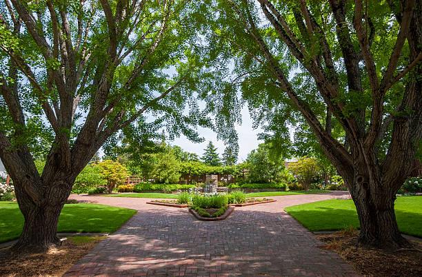 istock Summer Day at Luther Burbank Home and Gardens 2205021782