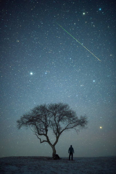 lo sciame meteorico delle geminidi con albero solitario - sciame meteorico geminidi immagine foto e immagini stock