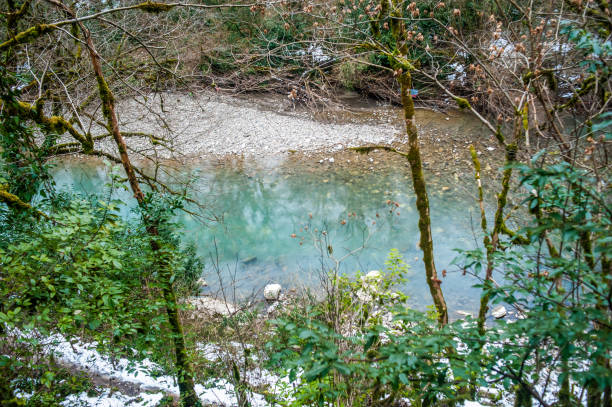 A calm river gently winds through a forested area, with clear blue water reflecting the surrounding trees and stones. Early spring brings fresh greenery to the landscape.
