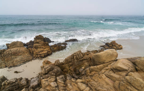 17 Mile Drive Coastal Front in Pacific Groove