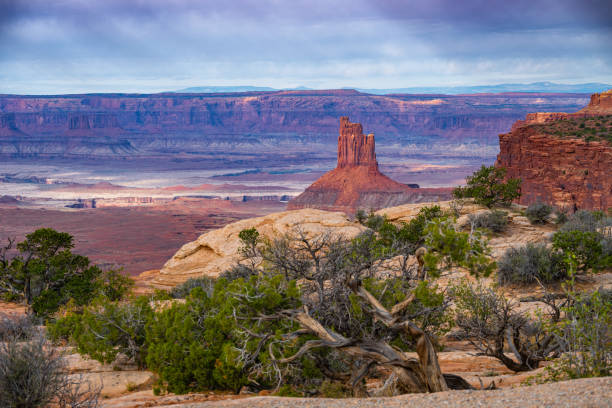 Canyonlands National Park desert landscape
