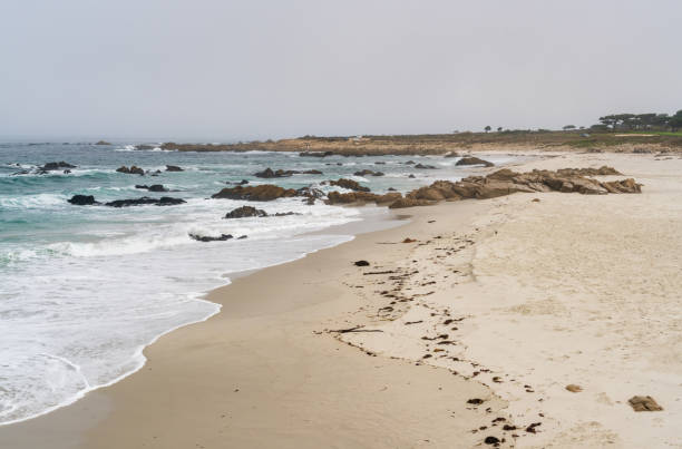 istock 17 Mile Drive's Sandy Ocean 2205024735