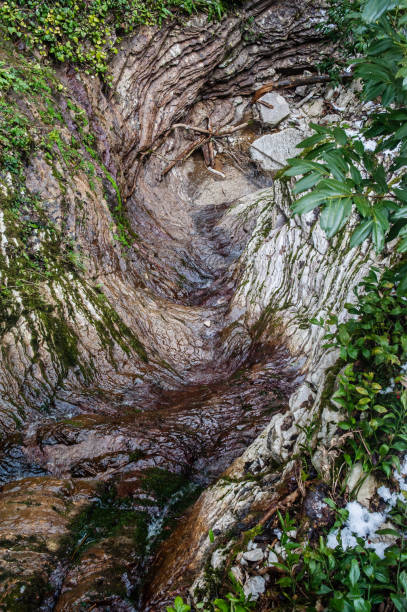 A serene stream winds through a rocky gorge adorned with vibrant greenery. The water glistens as it flows over smooth stones, creating a peaceful atmosphere.