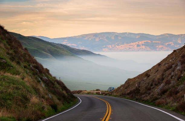 istock California Chaparral on a Misty Summer Morning 2205024818